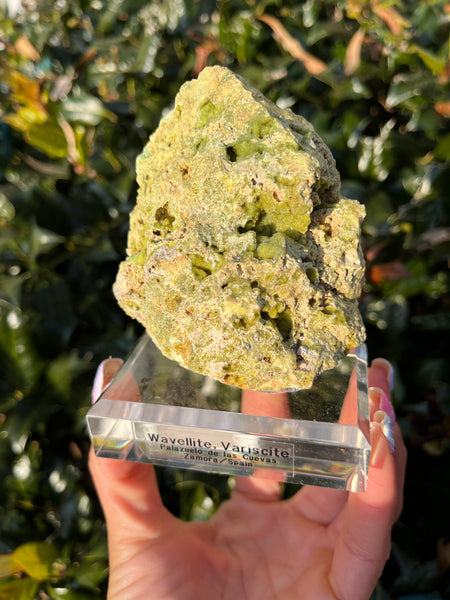 Wavellite & Variscite