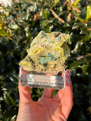 Wavellite, Variscite & Turquoise