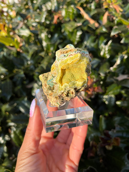 Wavellite, Variscite & Turquoise