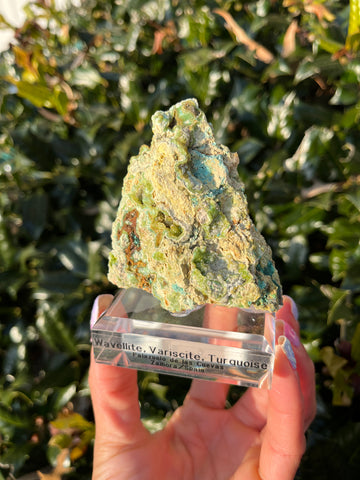 Wavellite, Variscite & Turquoise