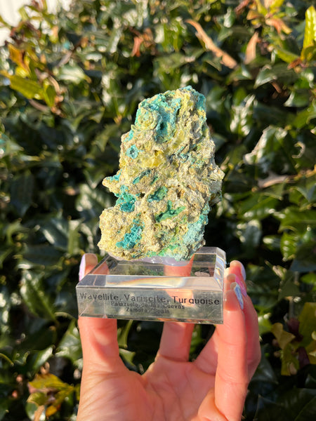 Wavellite, Variscite & Turquoise