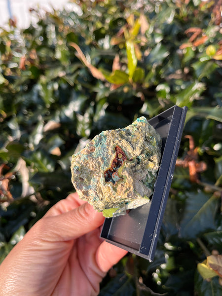 Wavellite, Variscite & Turquoise