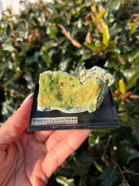 Wavellite, Variscite & Turquoise