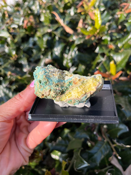 Wavellite, Variscite & Turquoise