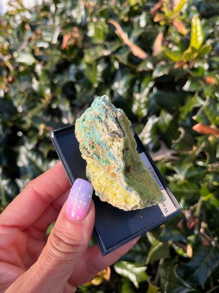 Wavellite, Variscite & Turquoise