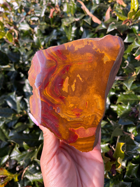 Picture Jasper Freeform