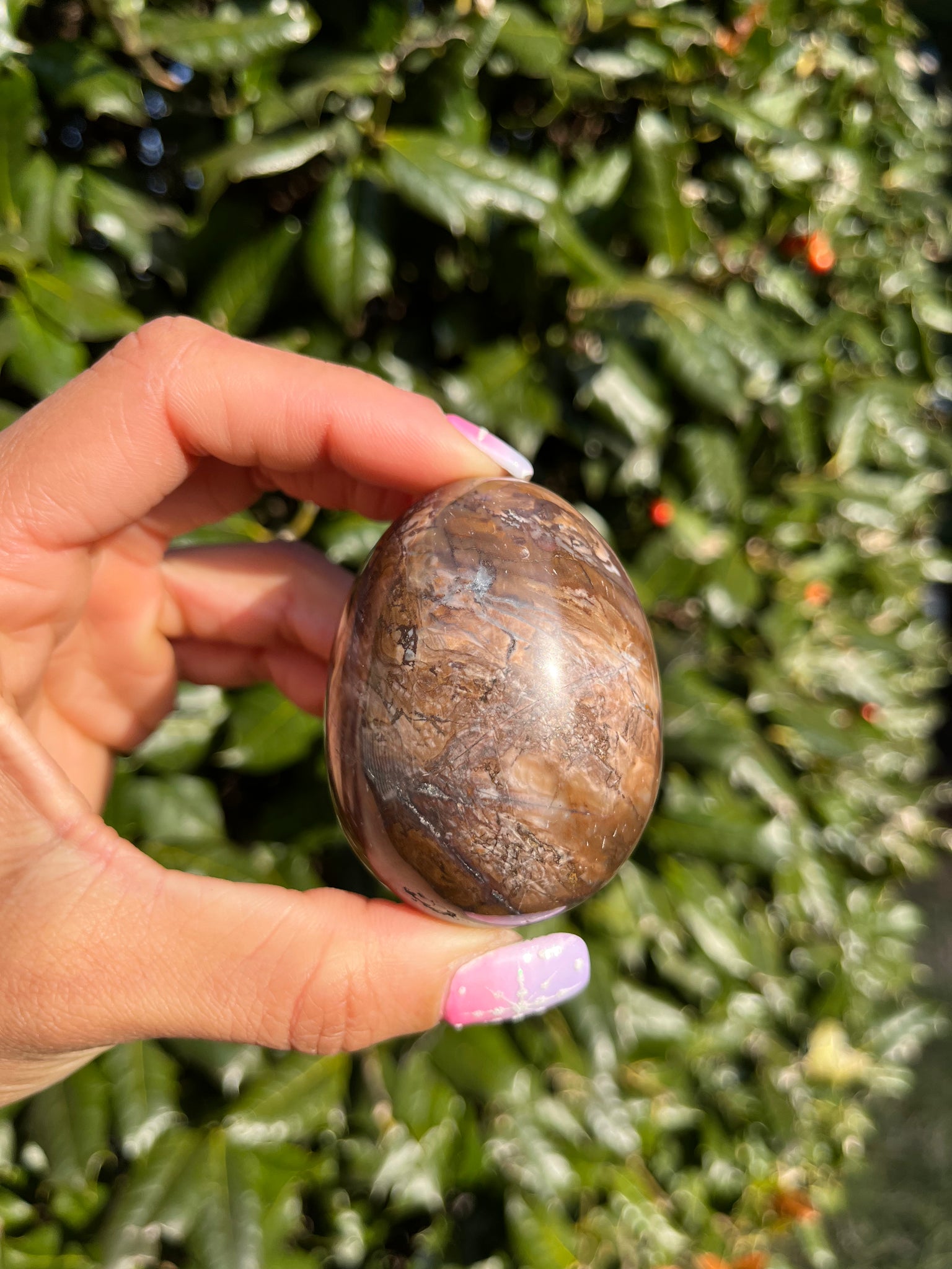 Picture Jasper Egg