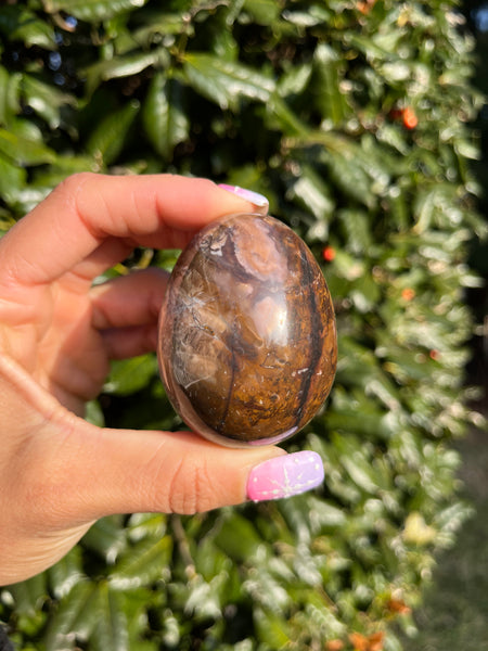 Picture Jasper Egg