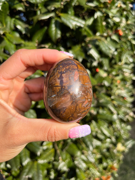 Picture Jasper Egg