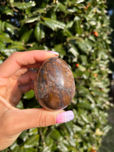 Picture Jasper Egg