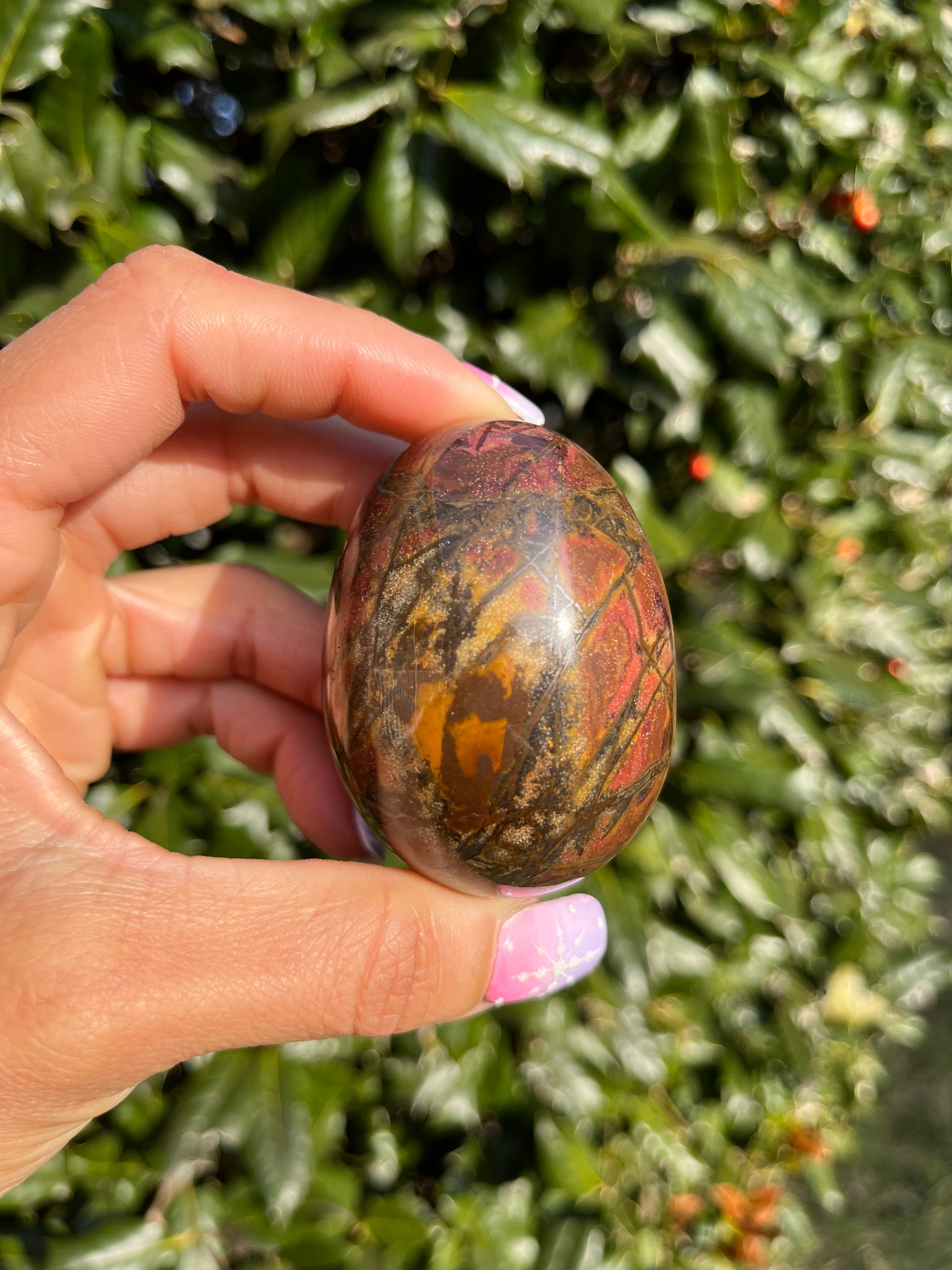 Picture Jasper Egg