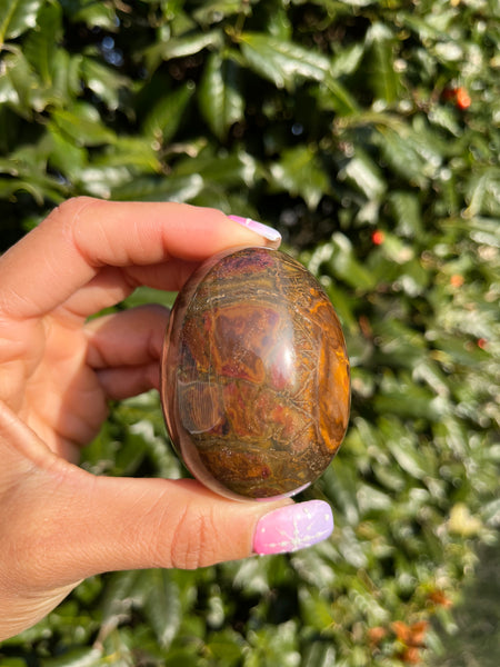 Picture Jasper Egg