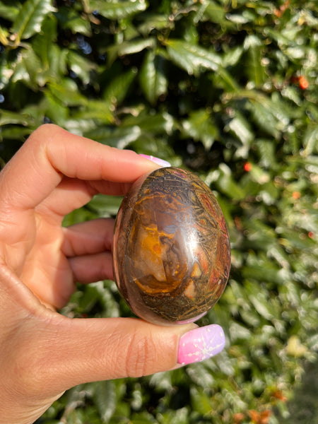 Picture Jasper Egg