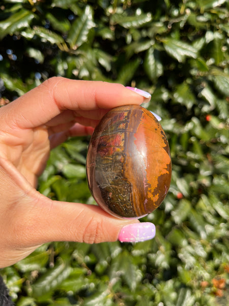 Picture Jasper Egg