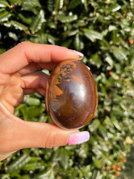 Picture Jasper Egg