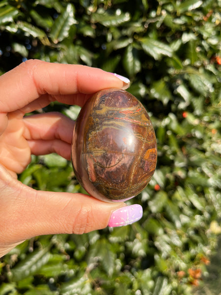 Picture Jasper Egg