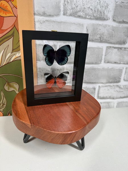 VANESSA Live Sale