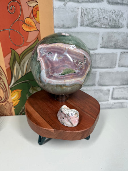 BEAR Live Sale