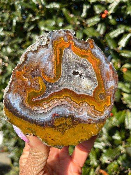 Moroccan Agate