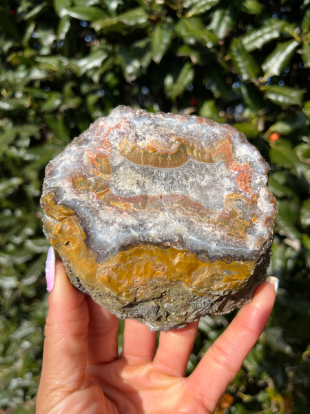 Moroccan Agate