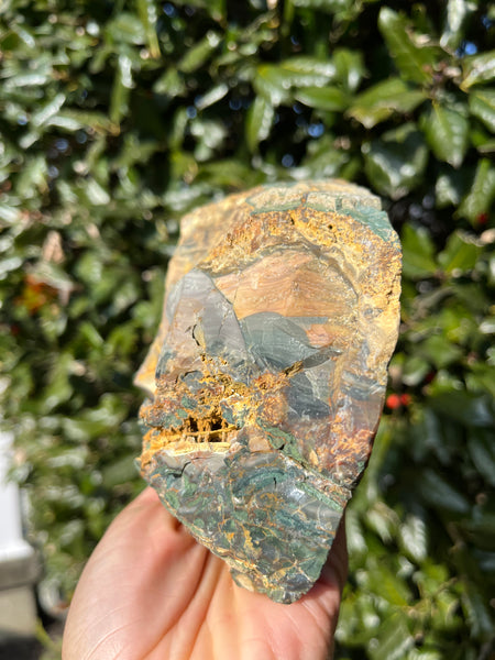 Blue Mountain Jasper