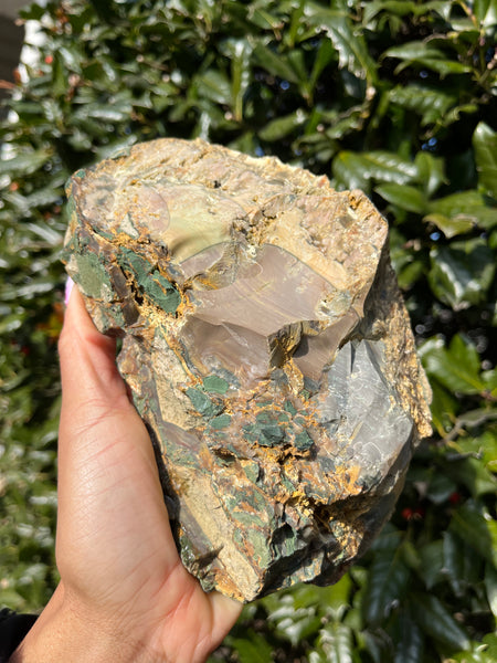 Blue Mountain Jasper