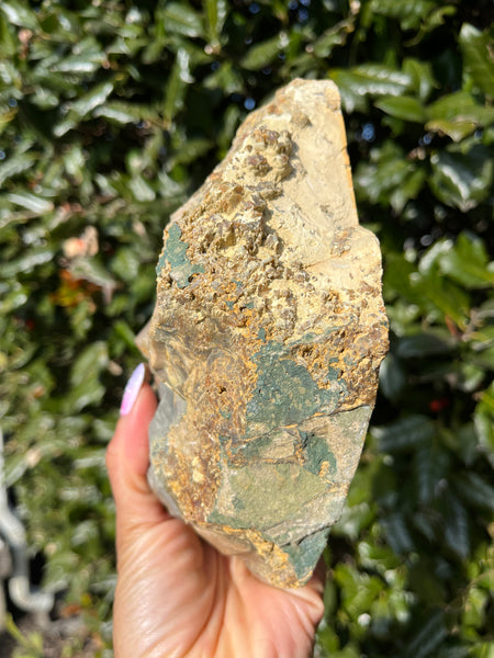 Blue Mountain Jasper