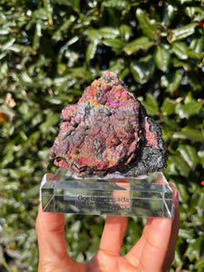 Iridescent Goethite