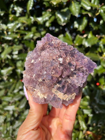 Berbes Fluorite