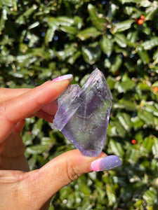 Berbes Fluorite