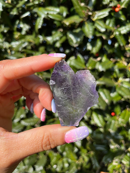 Berbes Fluorite