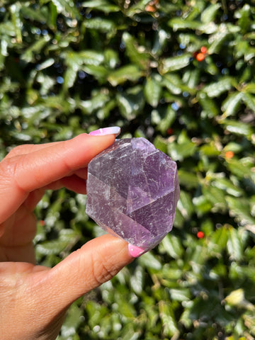 Berbes Fluorite