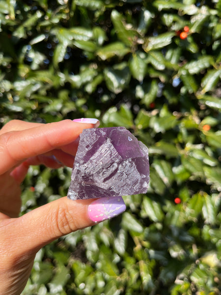 Berbes Fluorite