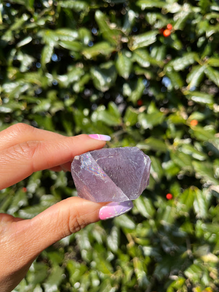 Berbes Fluorite