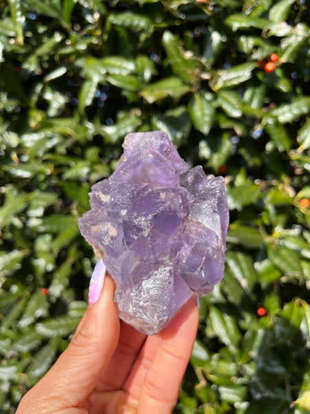 Berbes Fluorite