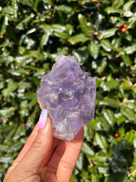 Berbes Fluorite