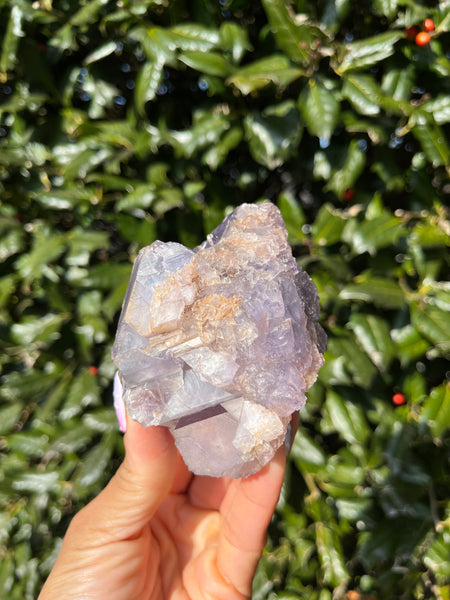 Berbes Fluorite