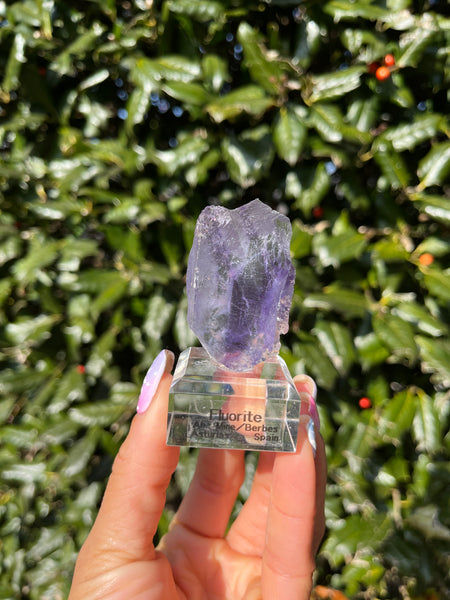 Berbes Fluorite