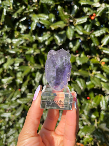 Berbes Fluorite