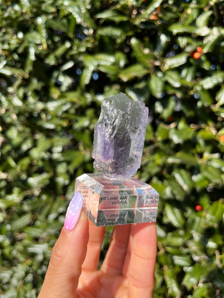 Berbes Fluorite