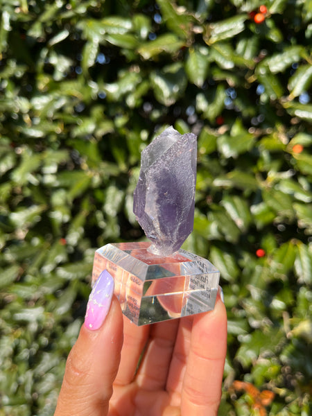 Berbes Fluorite