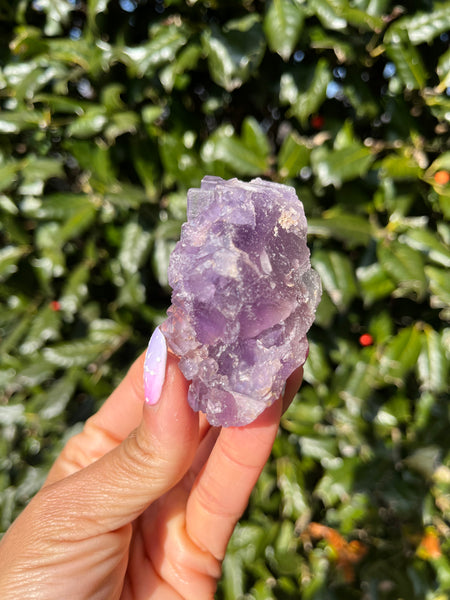 Berbes Fluorite