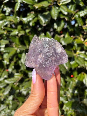 Berbes Fluorite