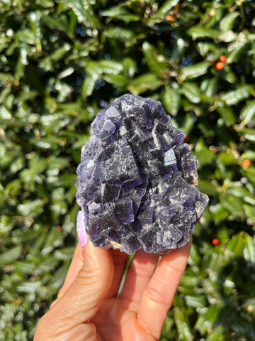 Berbes Fluorite