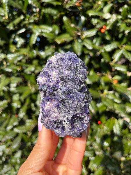 Berbes Fluorite