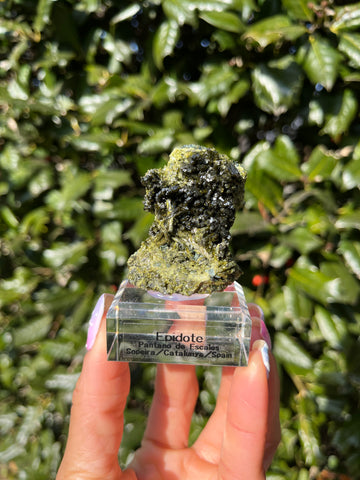 Epidote