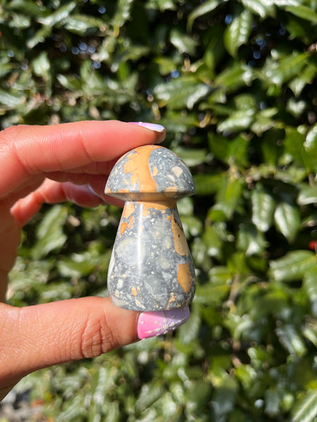 Maligano Jasper Mushroom