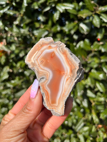 Indonesian Agate