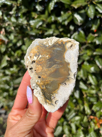 Indonesian Agate
