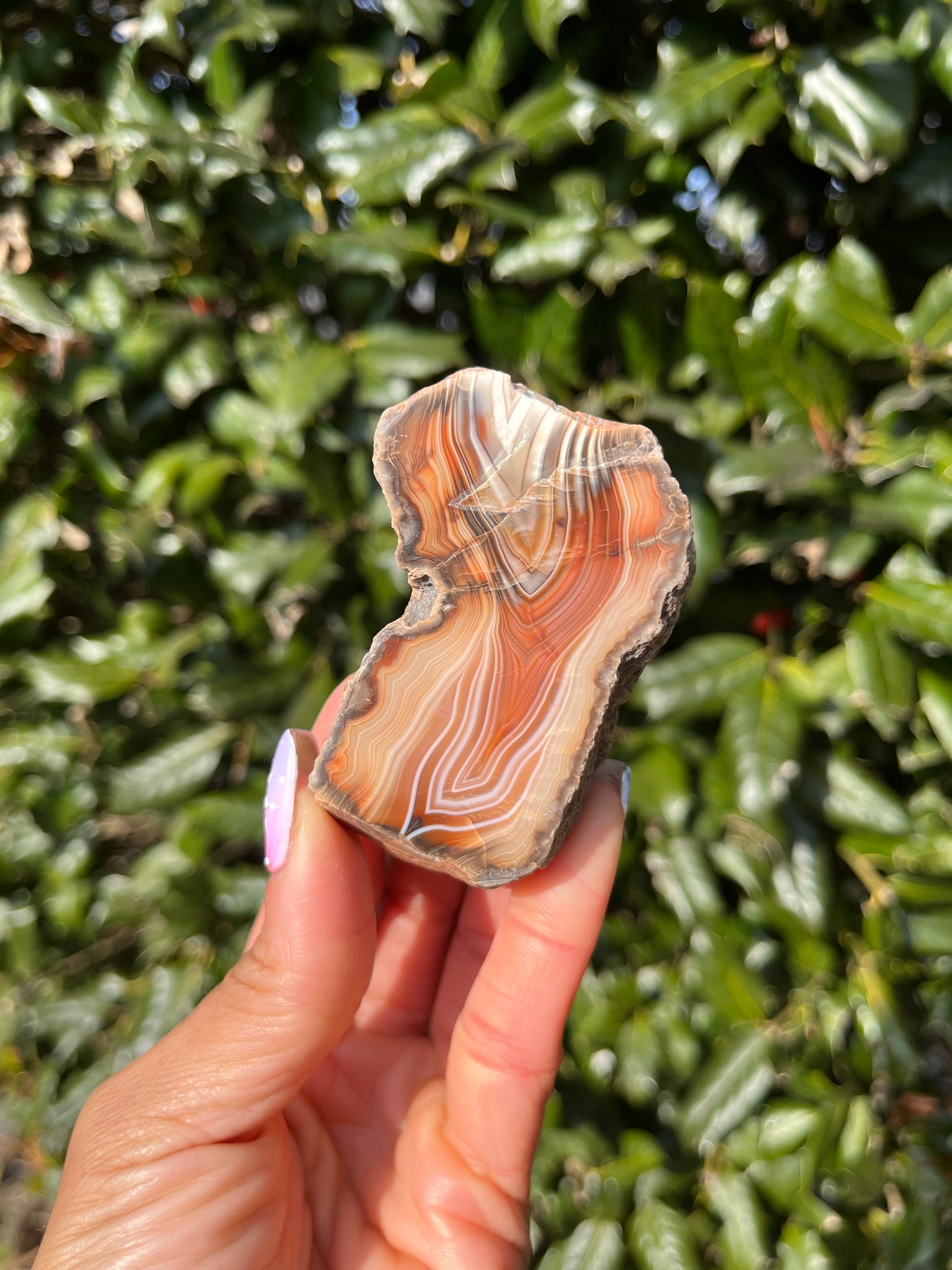 Indonesian Agate